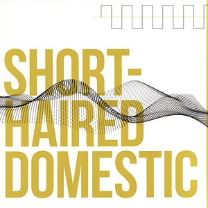 Short-Haired Domestic - Short-Haired Domestic