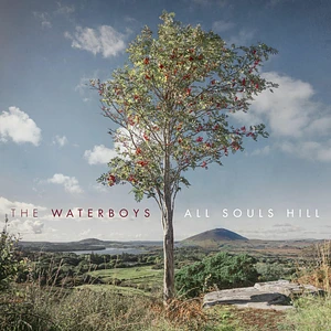 The Waterboys - All Souls Hill Black Vinyl Edition