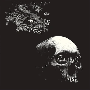Osees (Thee Oh Sees) - A Foul Form Black Vinyl Edition