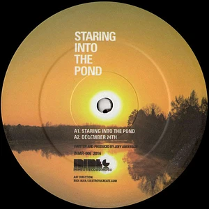 Joey Anderson - Staring Into The Pond