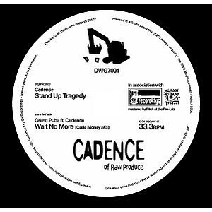 Cadence / Grand Puba - Stand Up Tragedy / Wait No More