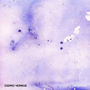 Cedric Vermue - Perpetua