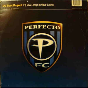 DJ Scot Project - Y (How Deep Is Your Love)