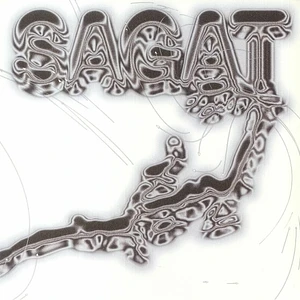 Sagat - Silver Lining