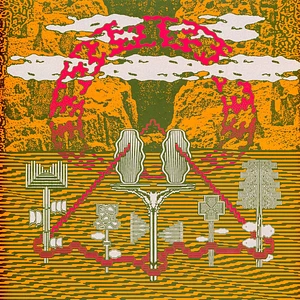 Acid Rooster - Flowers And Dead Souls Orange Vinyl Edtion