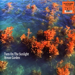 Turn On The Sunlight - Ocean Garden
