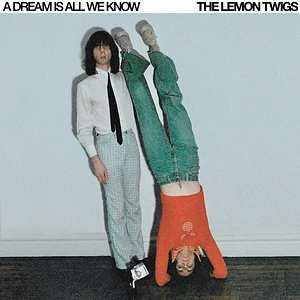 The Lemon Twigs - A Dream Is All We Know Ice Cream Vinyl Edition