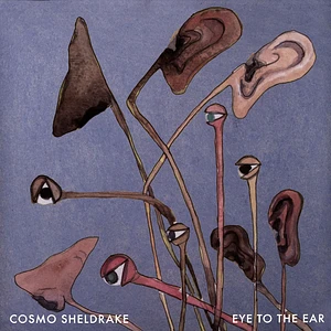 Cosmo Sheldrake - Eye To The Ear