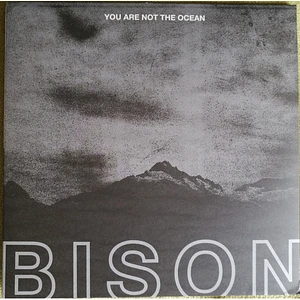 Bison B.C. - You Are Not The Ocean You Are The Patient