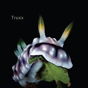 Truxx - Euphoria And Illusions