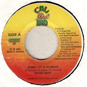 Bushman - Arms Of A Woman