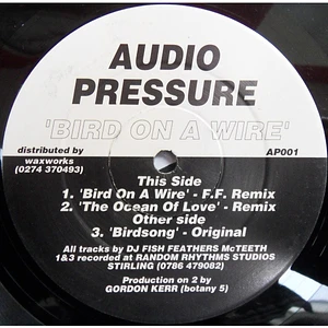 Audio Pressure - Bird On A Wire