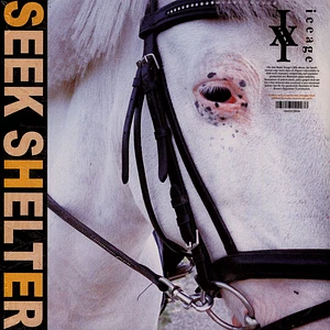 Iceage - Seek Shelter