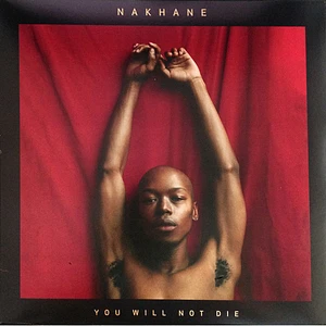 Nakhane Touré - You Will Not Die