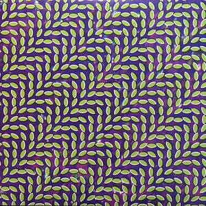 Animal Collective - Merriweather Post Pavilion