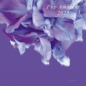 V.A. - Pop Ambient 2025