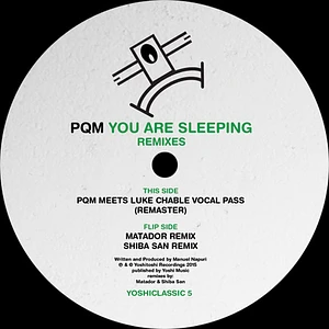 PQM - You Are Sleeping Remixes