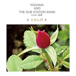 Kodama And The Dub Station Band - Tomoshibi
