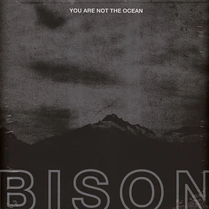 Bison - You Are Not The Ocean You Are The Patient