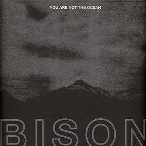 Bison - You Are Not The Ocean You Are The Patient Clear Vinyl Edition