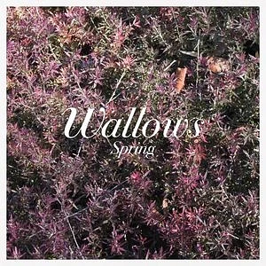 Wallows - Spring Pink & Green Vinyl Edition