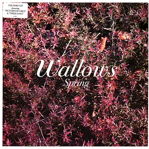 Wallows - Spring Pink & Green Vinyl Edition