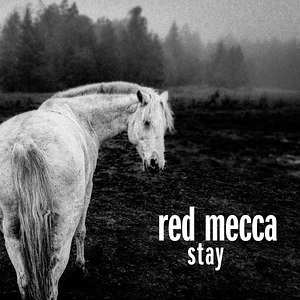 Red Mecca - Stay Clear Vinyl Edition