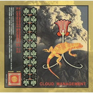 Cloud Management - Unfinished Business