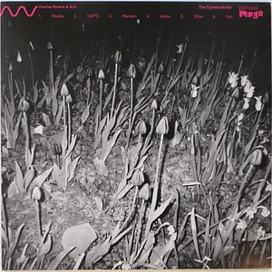 Cucina Povera & ELS - The Oystercatcher