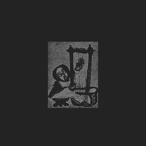 V.A. - The World Is But A Place Of Survival: Ethiopian Begena Songs