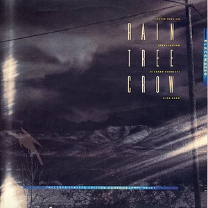 Rain Tree Crow - Blackwater