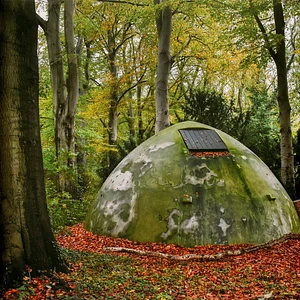 In Transit - In Transit