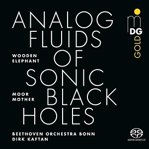 Moor Mother / Wooden Elephant / Beethoven Orchester - Analog Fluids Of Sonic Black Holes