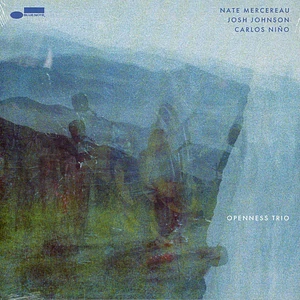Nate Mercereau / Josh Johnson / Carlos Nino - Openness Trio Limited Edition