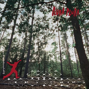 Plura Plura - Everything Else Is Fine