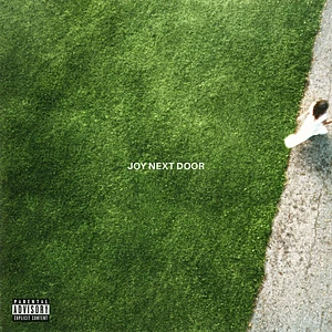 Maine - Joy Next Door Green & White Colored Vinyl Edition
