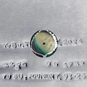 Yu Su - Foundry Orange Vinyl Edition