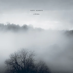 Poppy Ackroyd - Liminal