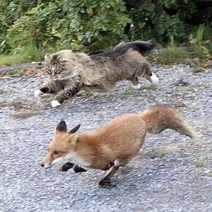 Devon Rexi Meets John T. Gast - Breathstep