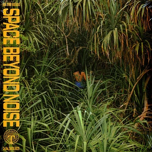 Not Even Noticed - Space Beyond Noise