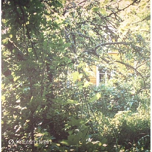 Mika Vainio - Kantamoinen 2026 Repress