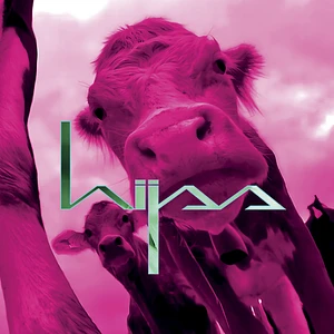 Hijss - Hijss Multi-Colored Vinyl Edition