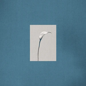 Choi Yu Ree - Stay Two Ligh Blue Olive Vinyl Edition