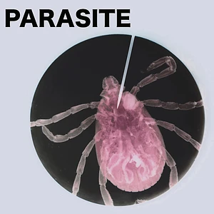 Unknown Artist - Parasite01