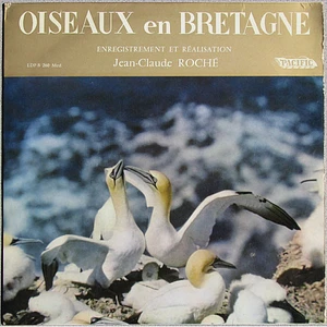 Jean C. Roche - Oiseaux En Bretagne