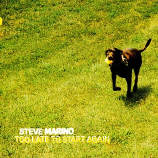 Steve Marino - Too Late To Start Again