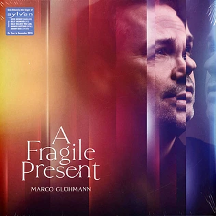 Marco Glühmann - A Fragile Present Black Vinyl Edition