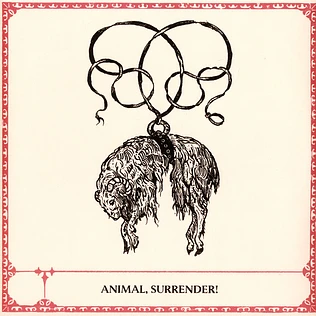 Animal, Surrender - Animal, Surrender