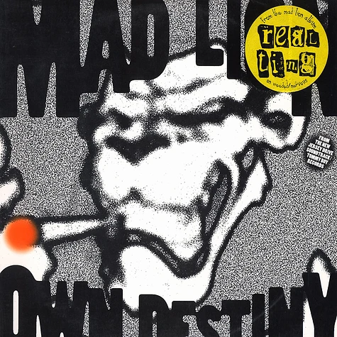 Mad Lion - Own Destiny