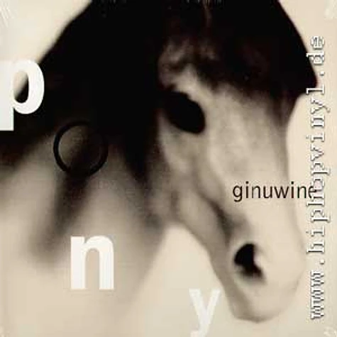 Ginuwine - Pony